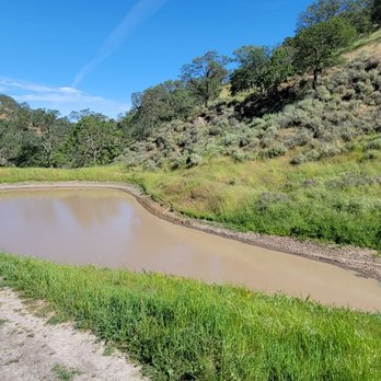 Shell Ridge Open Space - The beautiful Sulphur Creek - Hiking Near Me - Walnut Creek, California