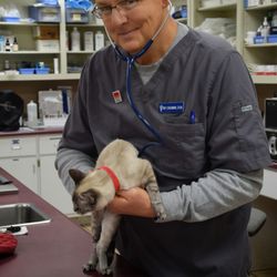 Dogwood Animal Hospital