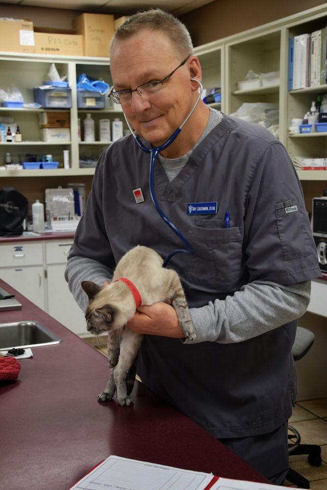 Dogwood Animal Hospital - pet boarding facility in Lawrenceville, GA