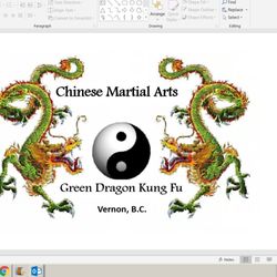Green Dragon Kung Fu Vernon