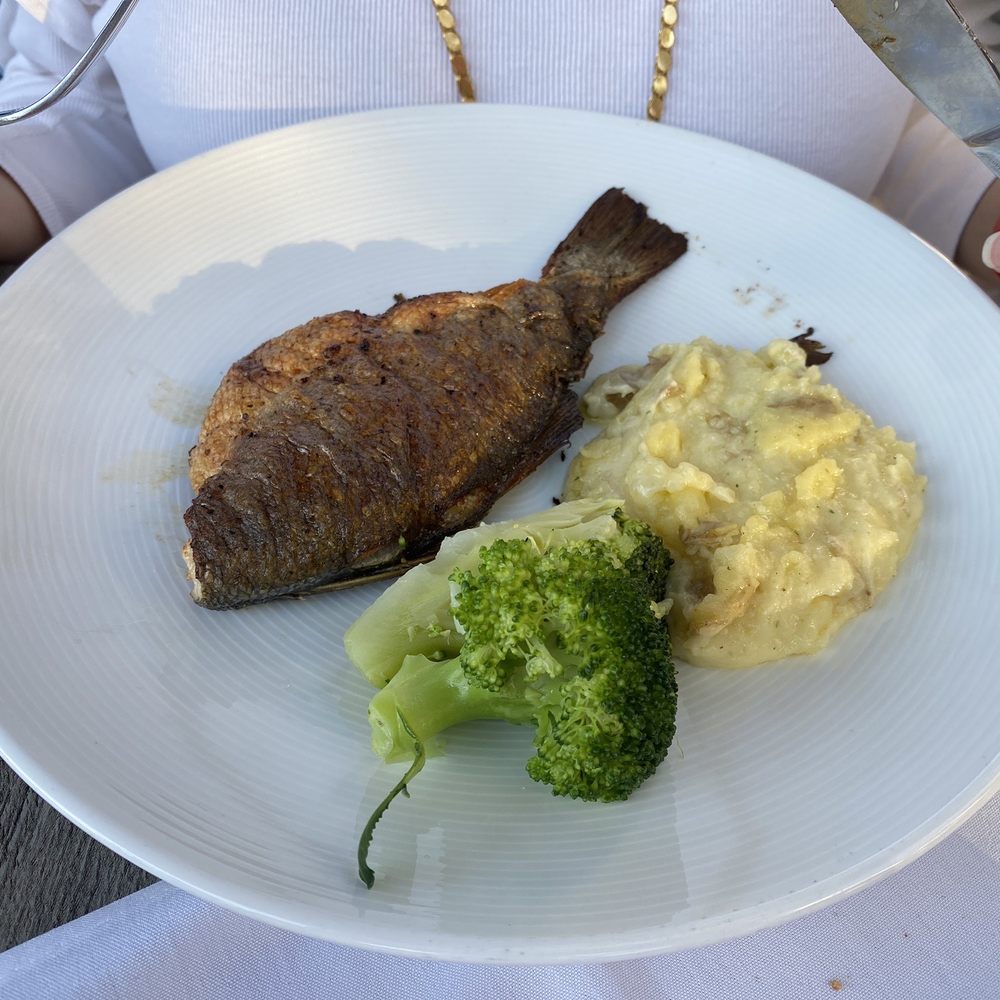 Cafe Nini - Branzino - Italian Near Me - Grosse Pointe Farms, Michigan Cafe Nini - Branzino - Italian Near Me - Grosse Pointe Farms, Michigan