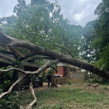 Safe Tree - Emergency tree services - Tree Services Near Me Safe Tree - Emergency tree services - Tree Services Near Me