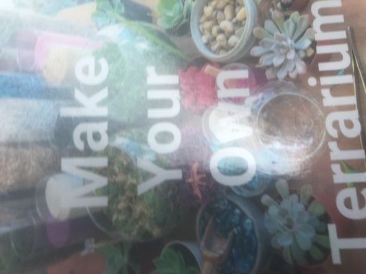 Ephemera - Plants, Terrariums and Comics by null