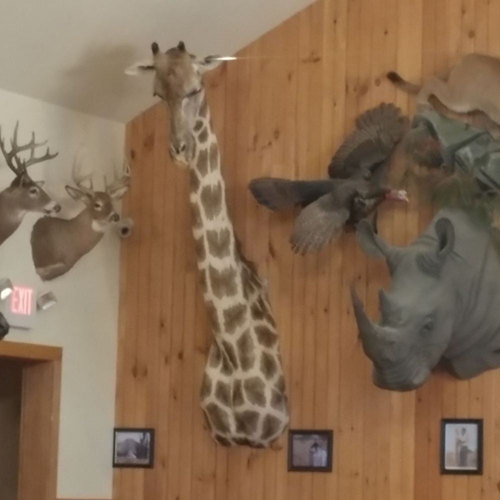 Pub 199 - A giraffe, come on - Steakhouses Near Me - Mount Arlington, New Jersey Pub 199 - A giraffe, come on - Steakhouses Near Me - Mount Arlington, New Jersey