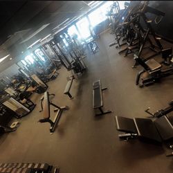 Level Up Gym