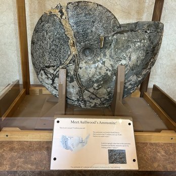 Aullwood Audubon - Ammonite that was found in South Dakota! Meaning that at some point in history, the USA was completely submerged under water - Parks Near Me - Dayton, Ohio Aullwood Audubon - Ammonite that was found in South Dakota! Meaning that at some point in history, the USA was completely submerged under water - Parks Near Me - Dayton, Ohio