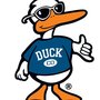 Photo of The Duck Company