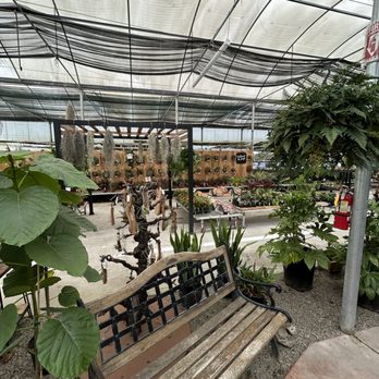 Rainforest Flora - Nurseries & Gardening Near Me - Torrance, California Rainforest Flora - Nurseries & Gardening Near Me - Torrance, California