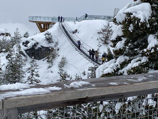 Sea to Sky Gondola by null