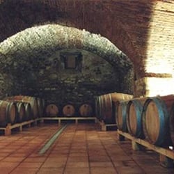 Fattoria di Bagnolo - La storica cantina del della Fattoria di Bagnolo risale al 1500 e si trova sotto la villa che appartenne alla famiglia
