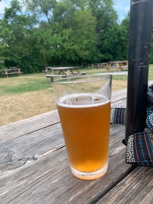 Arlyn's Good Beer by null