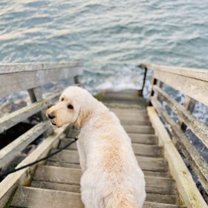 Picks For My Second Home:  Seattle & The West Side....Holla!