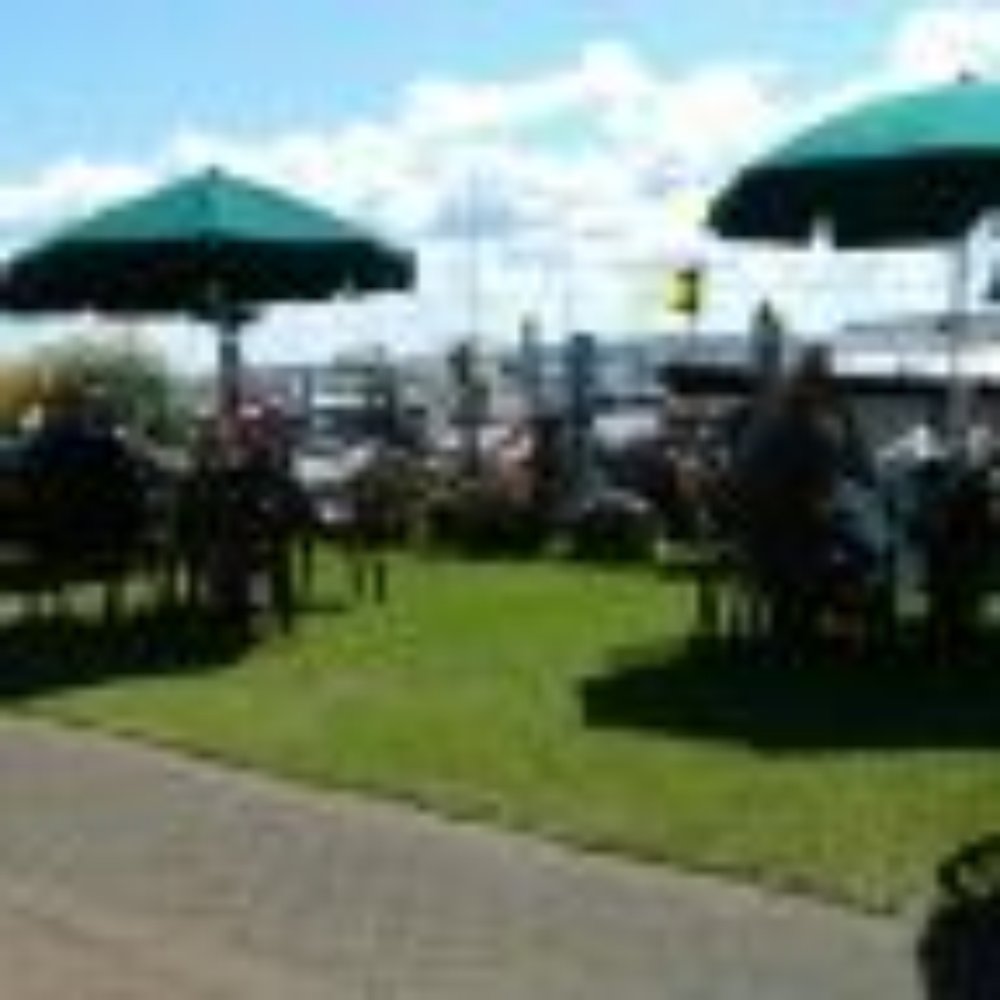 The Pier - Stafford's Pier Restarant offers outdoor seating overlooking the water. Sigh... This is the life I was meant to live - Seafood Near Me - Harbor Springs, Michigan