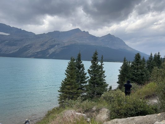Bow Lake by null