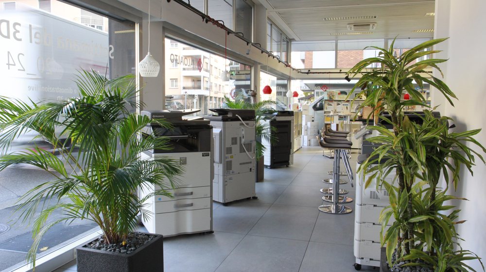 PALO ALTO with 10 real customer photos Updated August 2024 Via