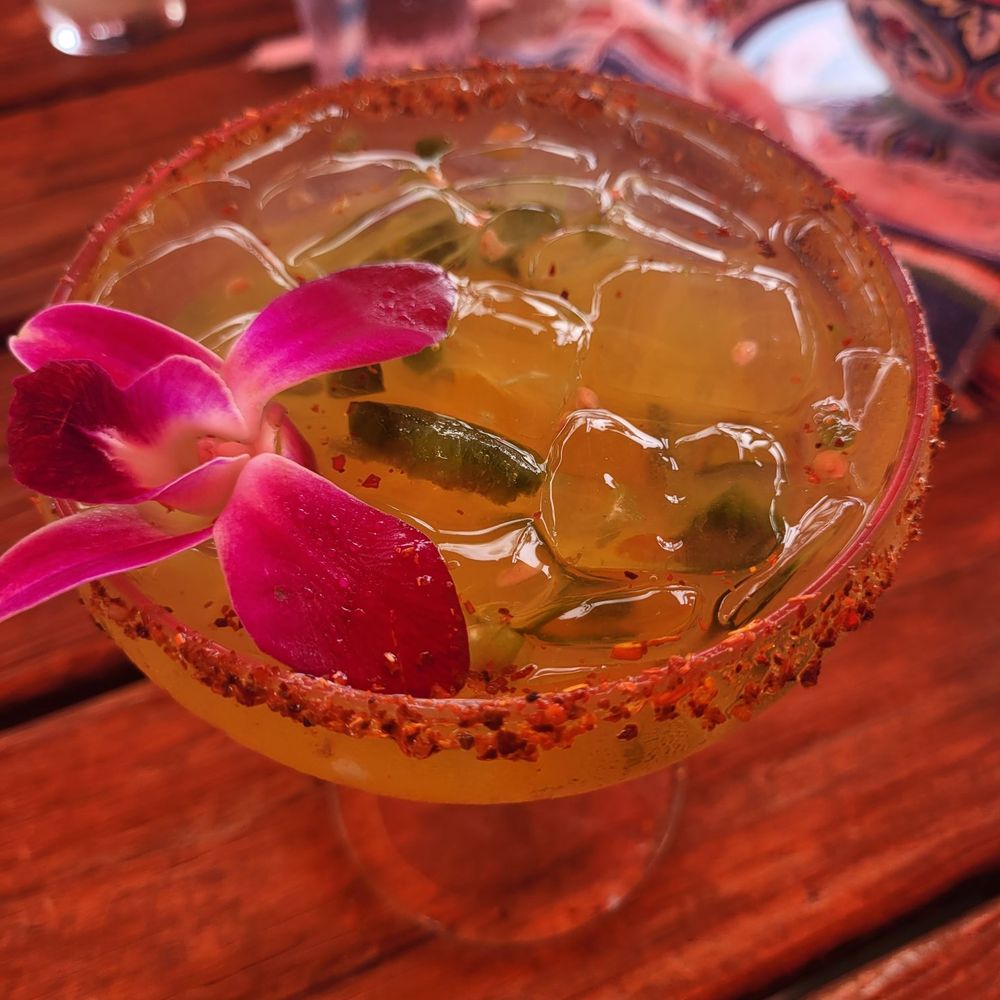 Taco Beach Shack - Bars Near Me - Hollywood, Florida Taco Beach Shack - Bars Near Me - Hollywood, Florida