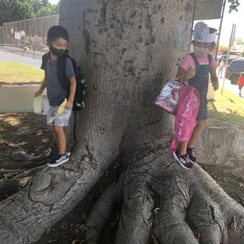 William Orr School - Playing outside of school on the old famous tree , they Recently took out - Elementary Schools Near Me - Norwalk, California William Orr School - Playing outside of school on the old famous tree , they Recently took out - Elementary Schools Near Me - Norwalk, California