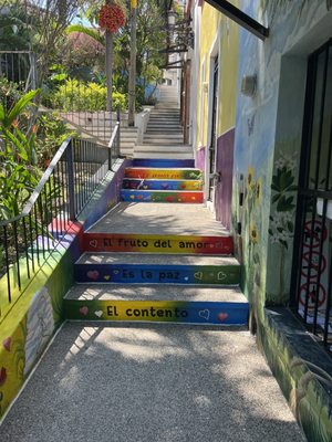 Planeta Vegetariano by null