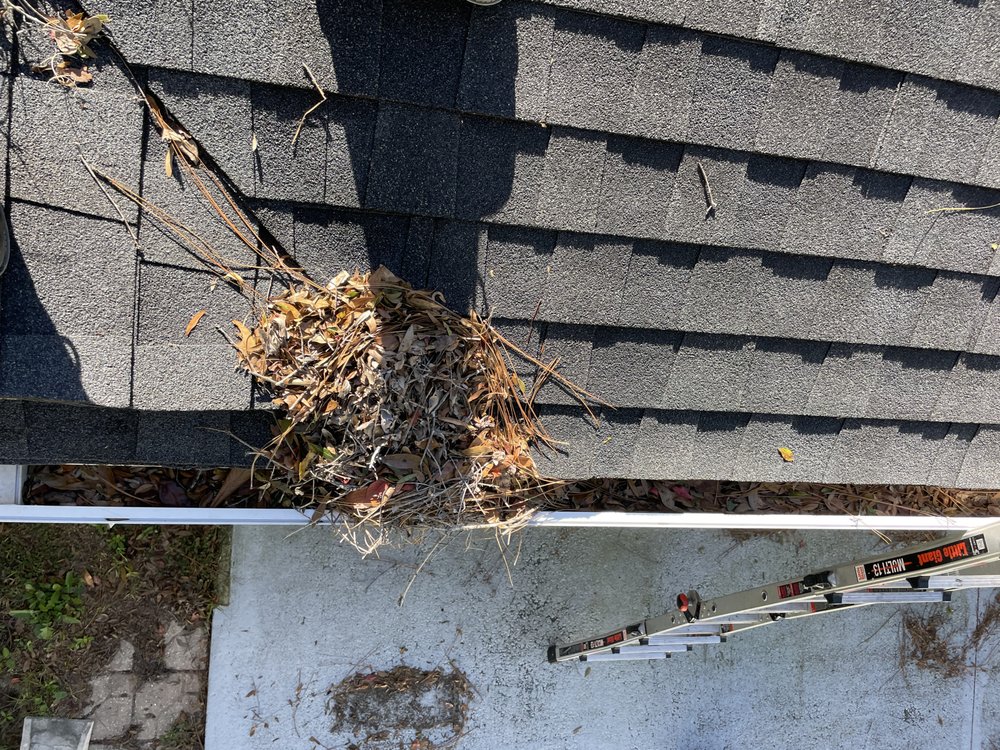 KISSIMMEE ROOF & GUTTER CLEANING Updated May 2024 Request a Quote