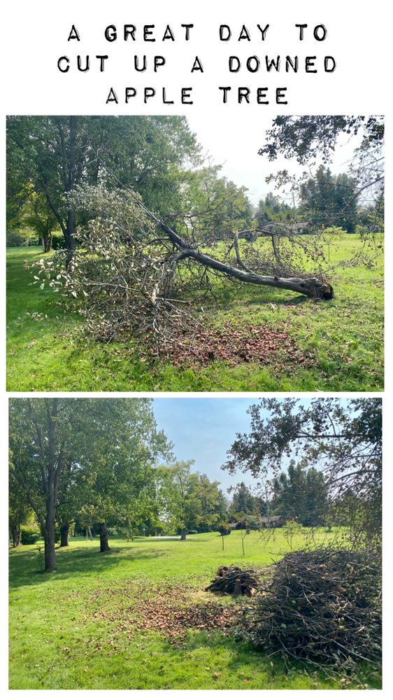 TOP CHOICE TREE CARE SERVICE Updated September 2024 Radcliff