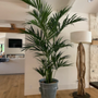 Artificial Bloom and Home Decor