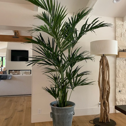 Artificial Bloom and Home Decor