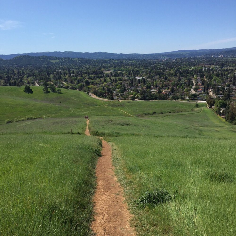 The top of one of the many hills in the open space