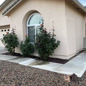 Pro-Touch Painting Contractors - My Wife's roses didn't have a drop of overspray! - Painters Near Me Pro-Touch Painting Contractors - My Wife's roses didn't have a drop of overspray! - Painters Near Me