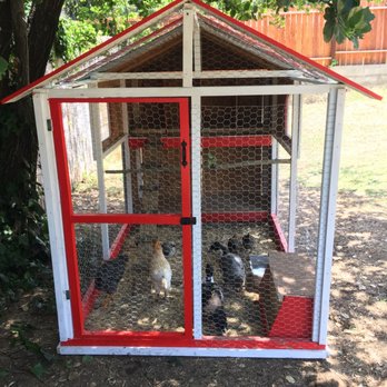 Wes's Pets & Feeds - My chicken coop was customized at Wes's, they even delivered it to my house. My 5 chickens and two ducks love it. I couldn't be happier. - Pet Stores Near Me - El Monte, California Wes's Pets & Feeds - My chicken coop was customized at Wes's, they even delivered it to my house. My 5 chickens and two ducks love it. I couldn't be happier. - Pet Stores Near Me - El Monte, California