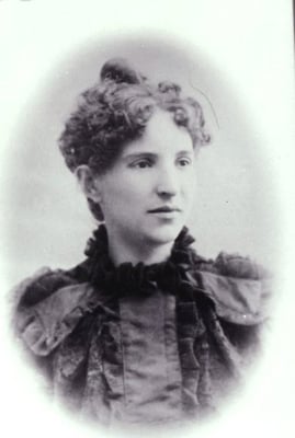 Alleva Dairy by null