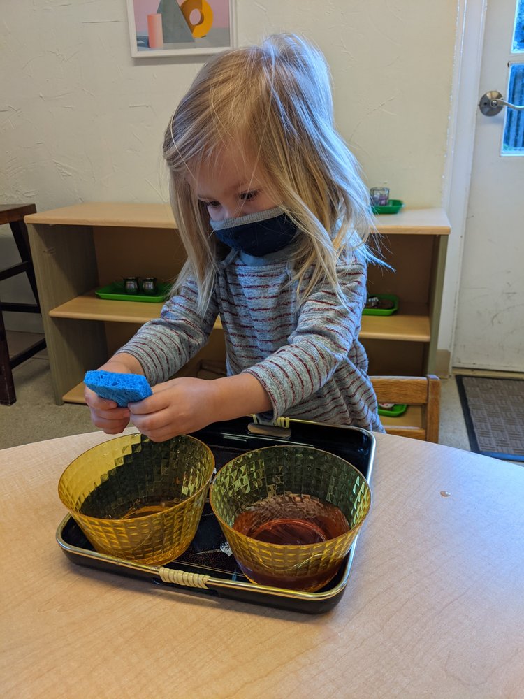 GROWING LIGHT MONTESSORI SCHOOL KENSINGTON Updated August 2024 10