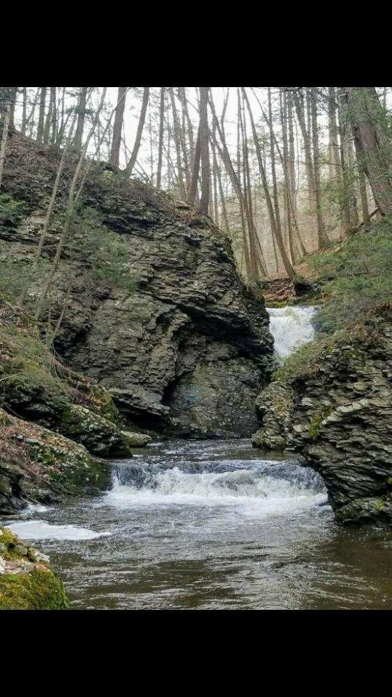 COUNCIL CUP CAMPGROUND Updated September 2024 212 Ruckle Hill Rd