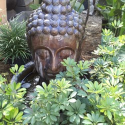 Mickey Hargitay Plants - So tranquil