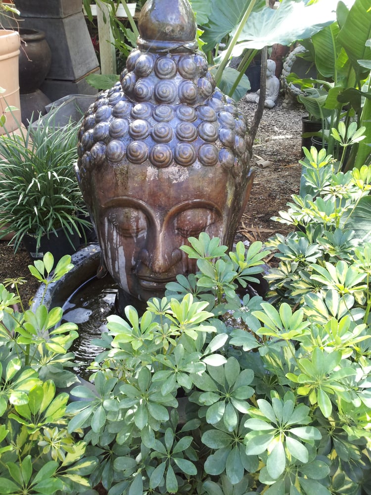 Mickey Hargitay Plants