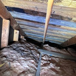 Absolute Inspection Services - Huge dark spot from years of leaking - Deering didn't see this during his inspection.