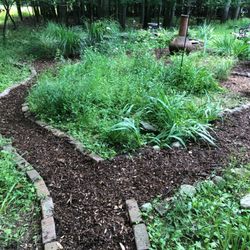 Lynn's Lawncare