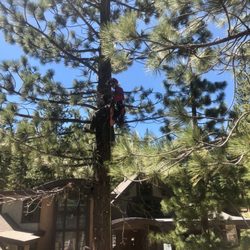 Sherwood Tree Service