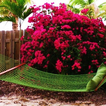 Island Bay Resort - Siesta!!! - Resorts Near Me - Tavernier, Florida