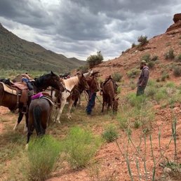 Taking a break, a friend gets some advice on horse rides. Taking a break, a friend gets some advice on horse rides.