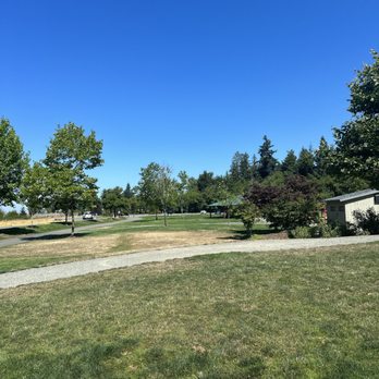 Central Park - Gorgeous day! - Parks Near Me - Issaquah, Washington