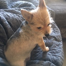 Ariel after her Spa Day, Summer Ready! Ariel after her Spa Day, Summer Ready!