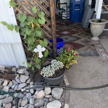 Rozet Landscape Design - Carport, rocks, plants - Landscaping Near Me - Tucson, Arizona Rozet Landscape Design - Carport, rocks, plants - Landscaping Near Me - Tucson, Arizona
