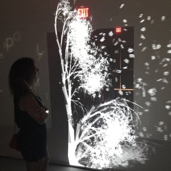 ARTECHOUSE DC - Art Galleries Near Me - Washington, DC, District of Columbia