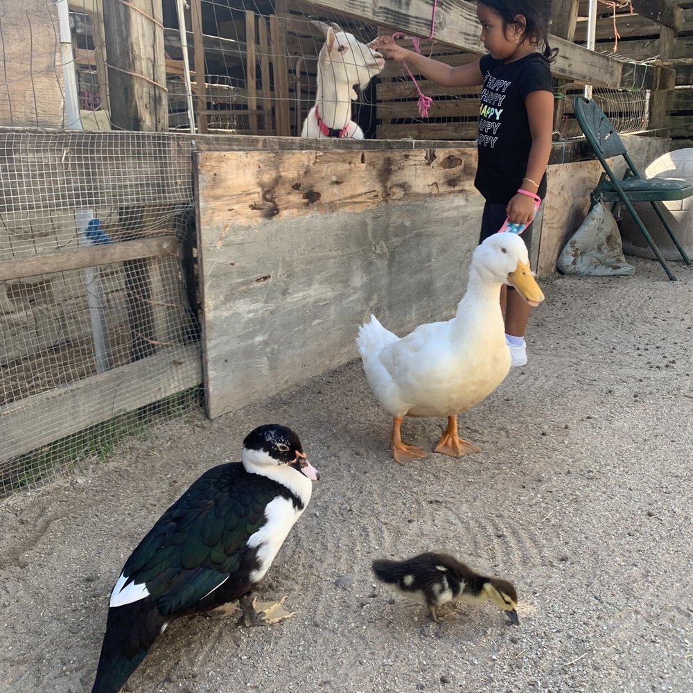 Happi Farm - Community Service/Non-Profit Near Me - Davie, Florida Happi Farm - Community Service/Non-Profit Near Me - Davie, Florida
