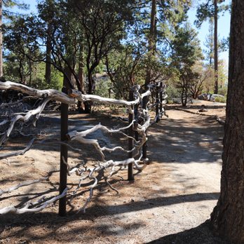Idyllwild Nature Center - Hiking Near Me - Idyllwild, California Idyllwild Nature Center - Hiking Near Me - Idyllwild, California