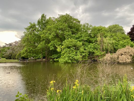 Parco Sempione by null