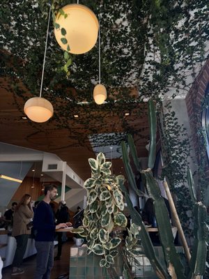 Verve Coffee Roasters by null