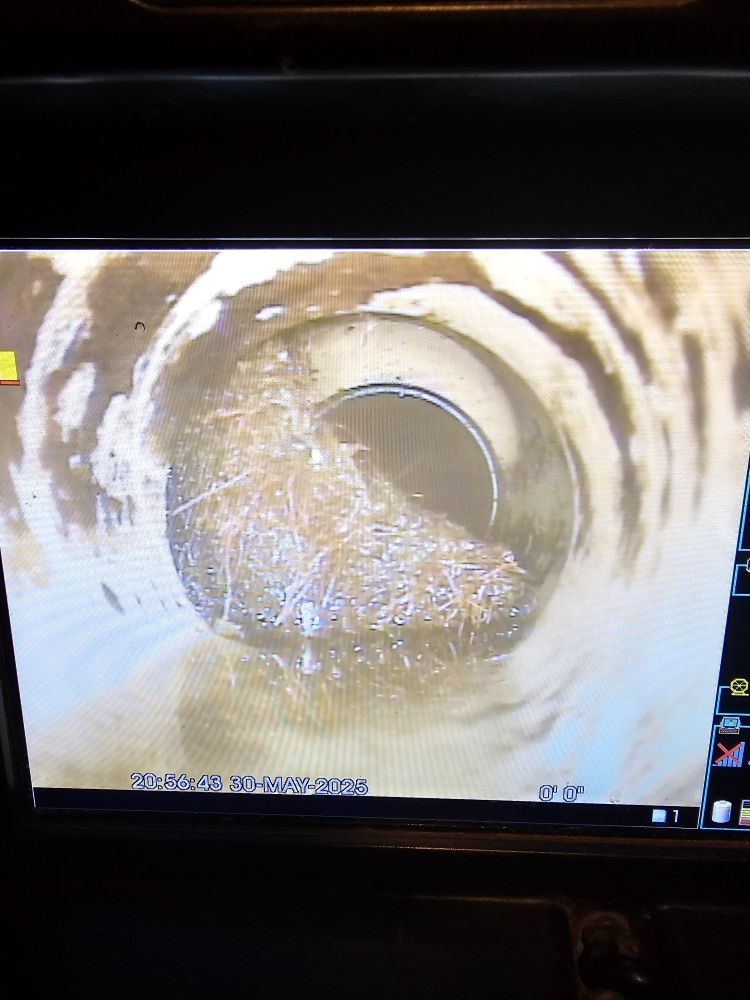 Slide of Beebe's Camera and Clean