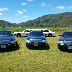 Touch of Class Limousine