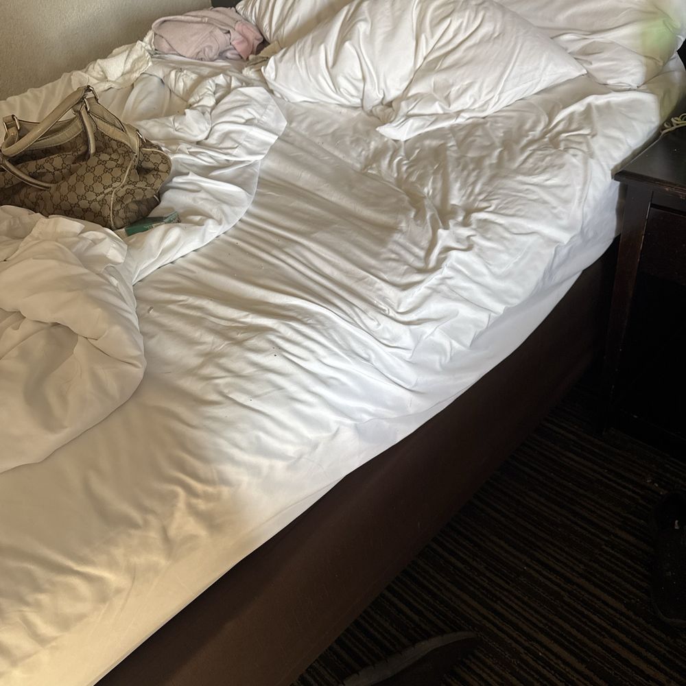 Quality Inn Alexis Rd - Broken bed - Hotels Near Me - Toledo, Ohio Quality Inn Alexis Rd - Broken bed - Hotels Near Me - Toledo, Ohio
